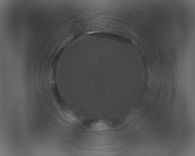 X0000051900224200507011516
