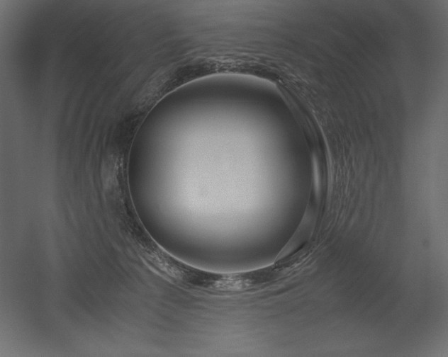 X0000051900225200507011516