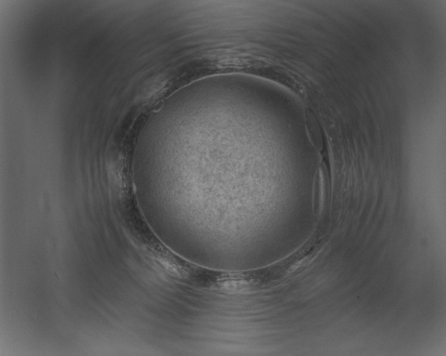 X0000051900228200507011516