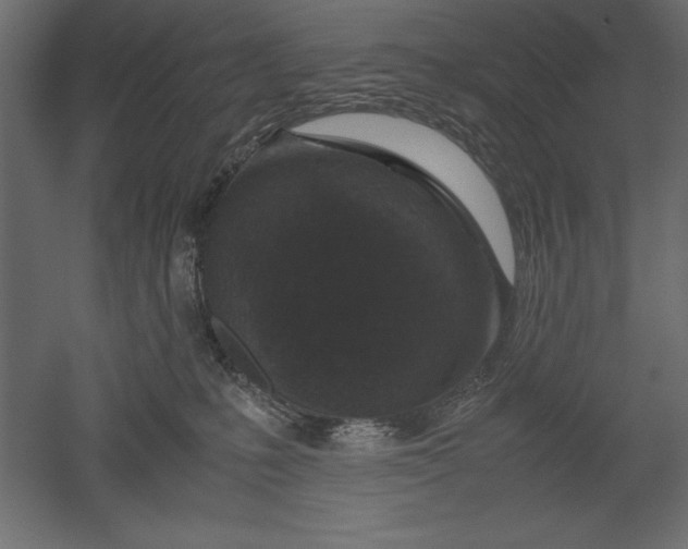 X0000051900231200507011515
