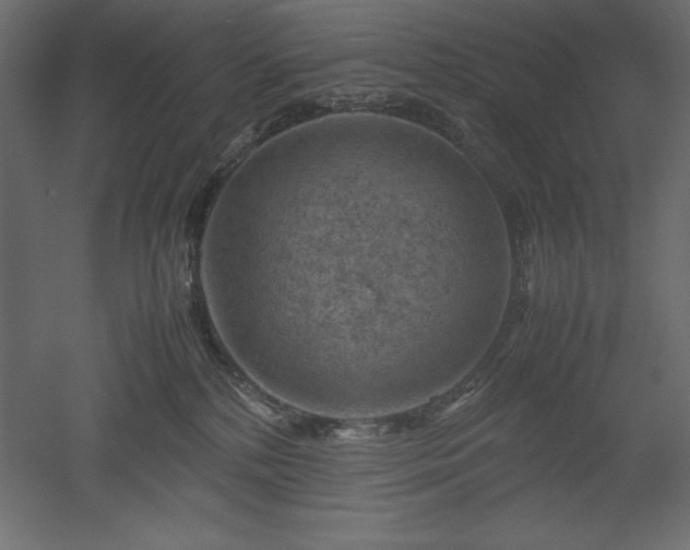 X0000051900232200507011515