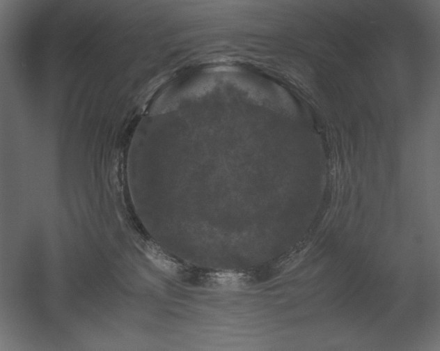 X0000051900233200507011515