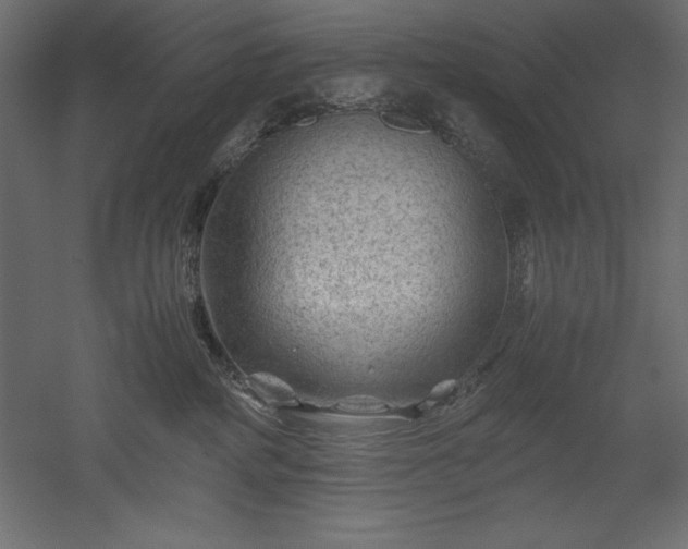 X0000051900234200507011515