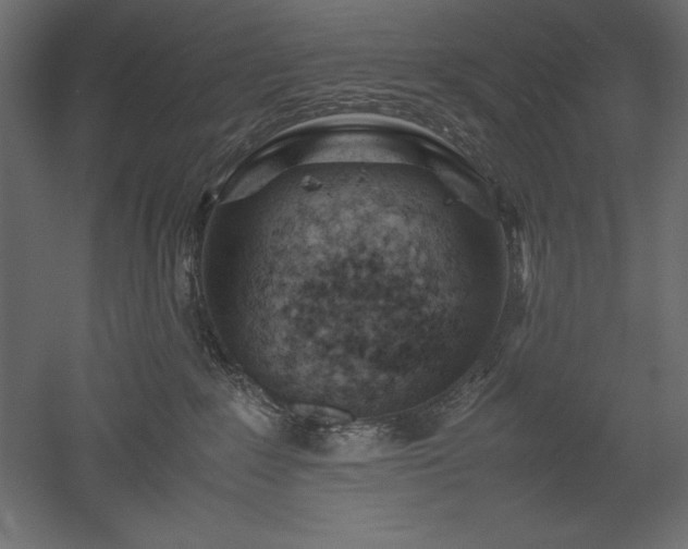 X0000051900235200507011515