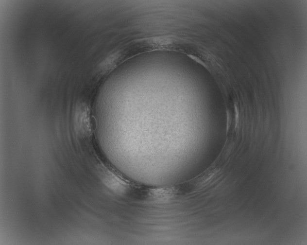 X0000051900238200507011515
