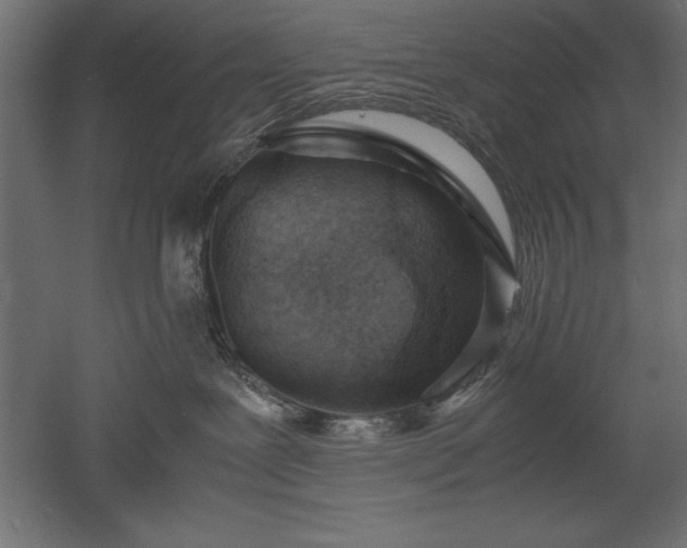 X0000051900239200507011515