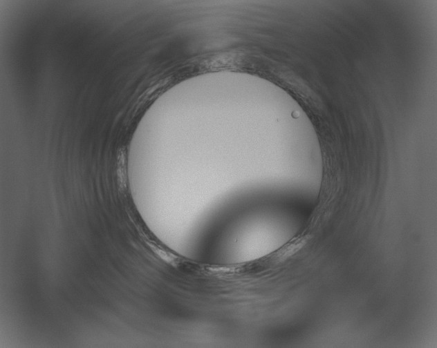 X0000051900240200507011515