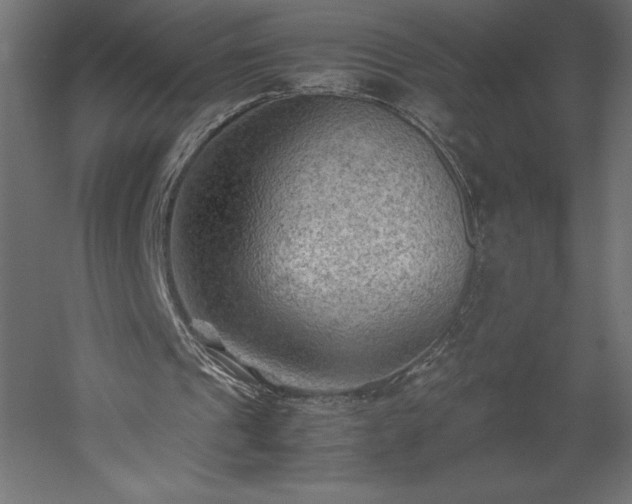 X0000051900241200507011514