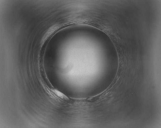 X0000051900242200507011514