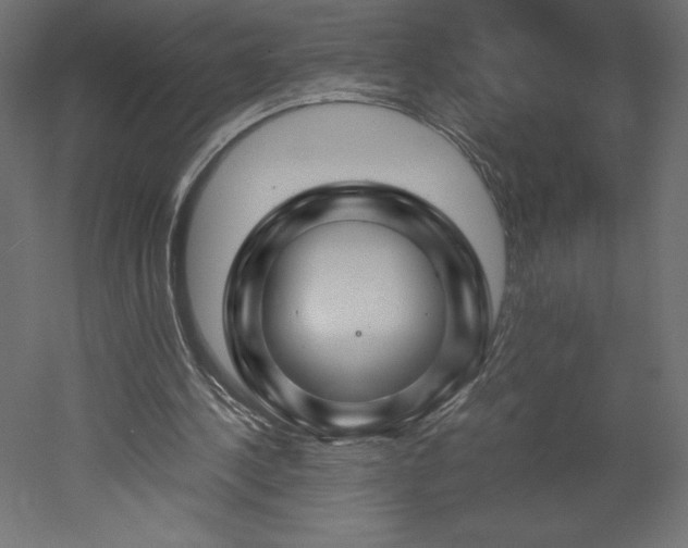X0000051900244200507011515