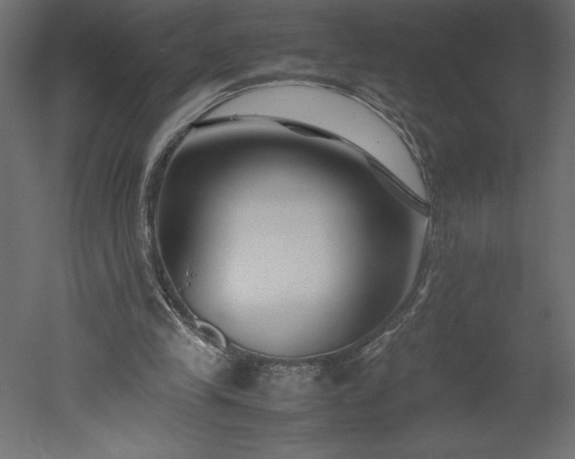 X0000051900245200507011515