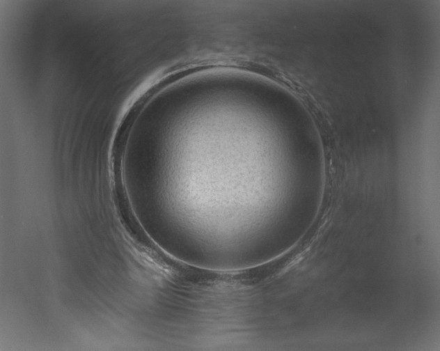 X0000051900246200507011515
