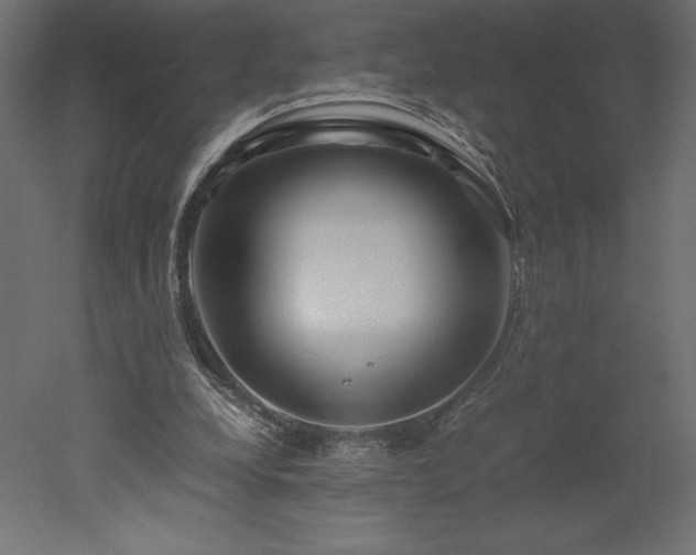 X0000051900248200507011515