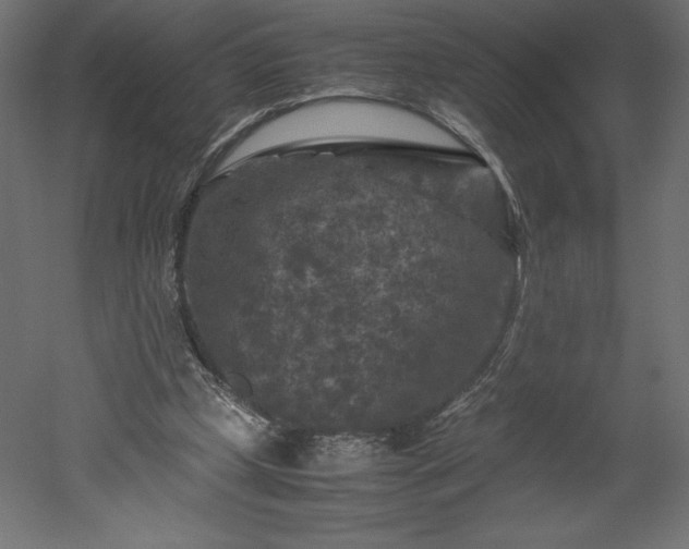 X0000051900249200507011515