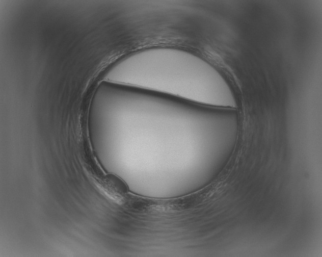 X0000051900250200507011515