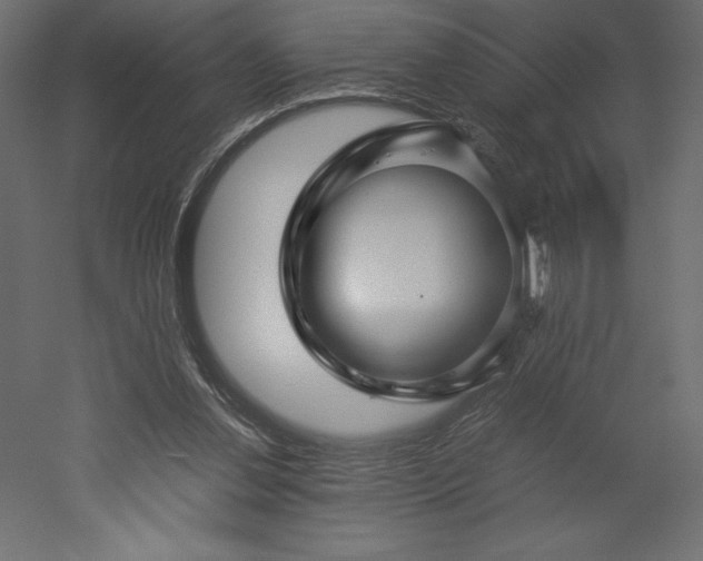 X0000051900252200507011515