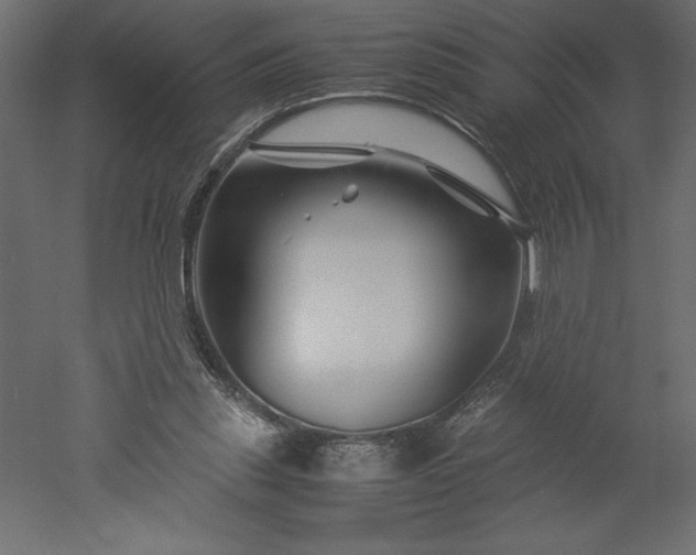 X0000051900253200507011515