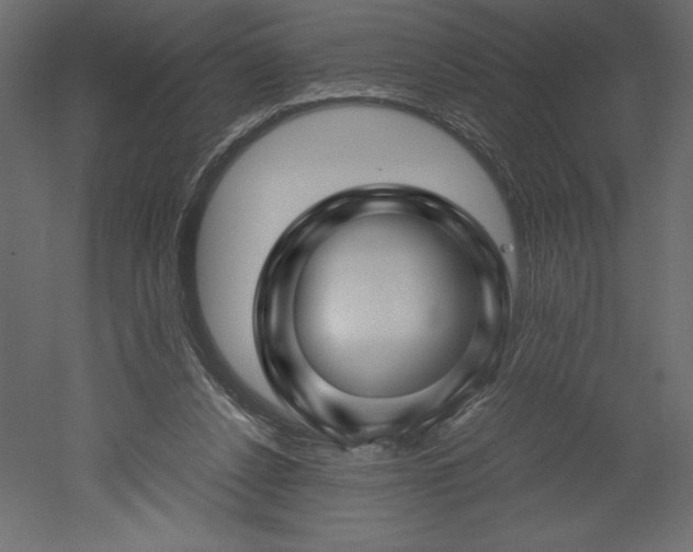 X0000051900256200507011515