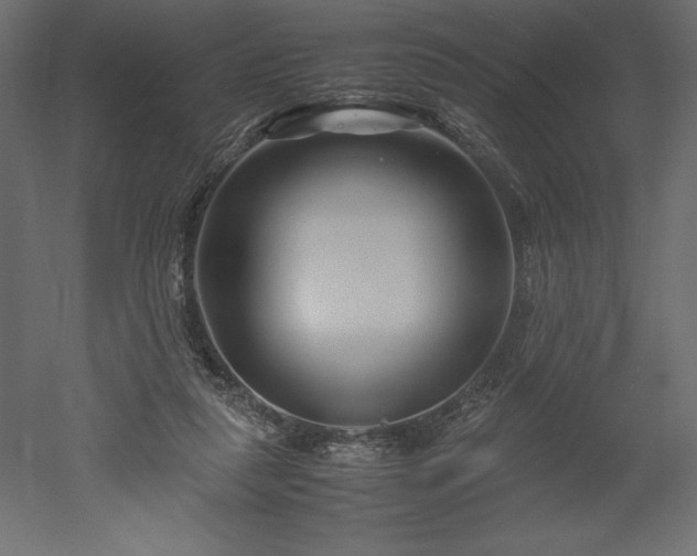X0000051900259200507011515