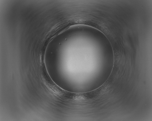 X0000051900262200507011515