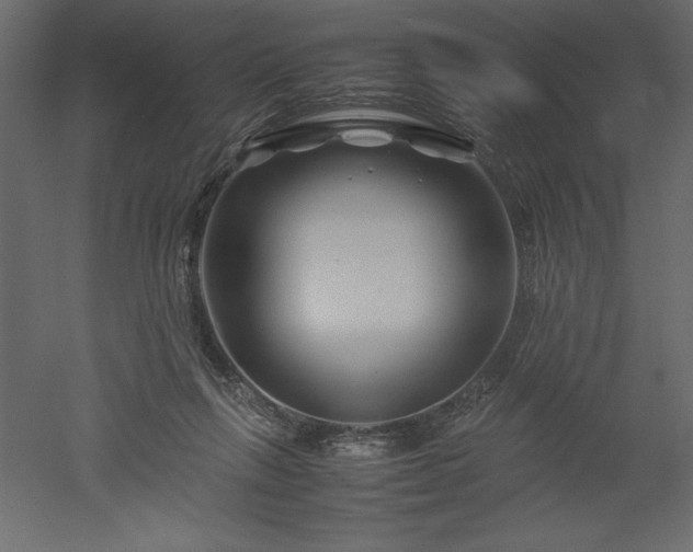 X0000051900263200507011515