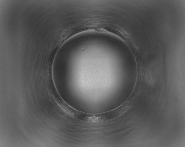 X0000051900265200507011515