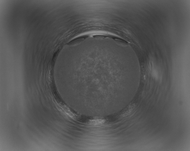 X0000051900266200507011515
