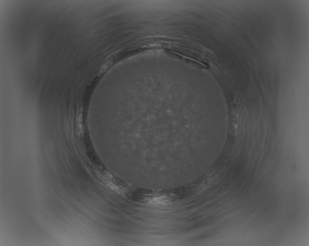 X0000051900267200507011515