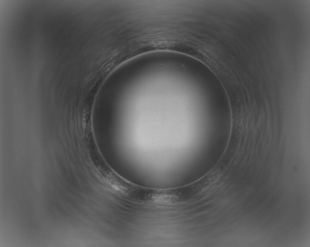 X0000051900268200507011515