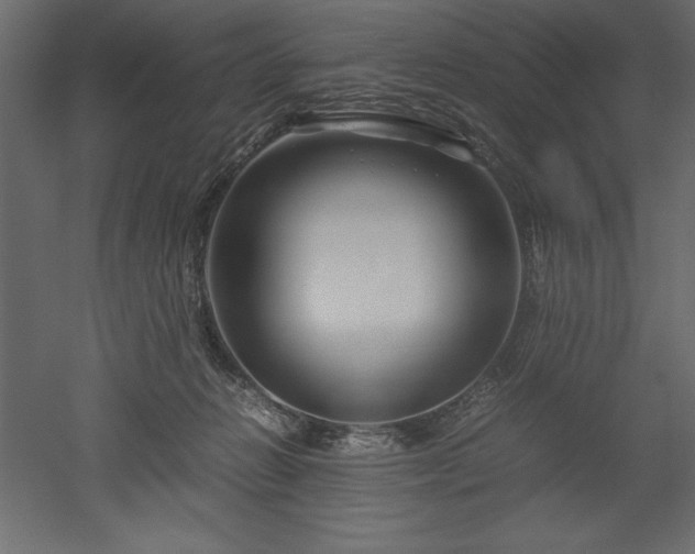 X0000051900270200507011515