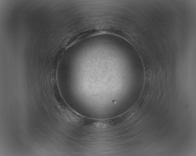 X0000051900272200507011515