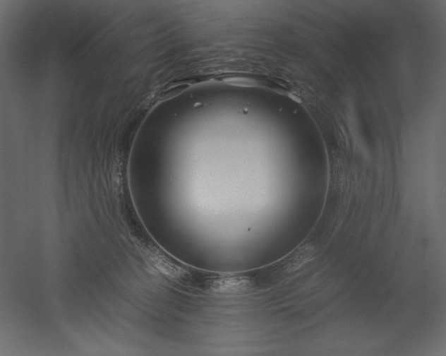 X0000051900274200507011515