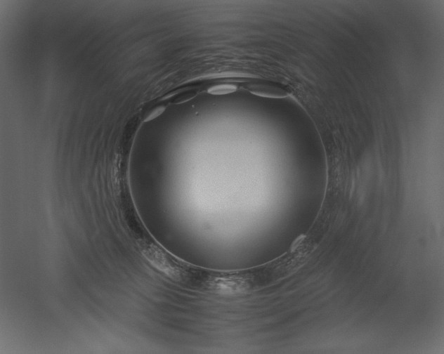 X0000051900275200507011515