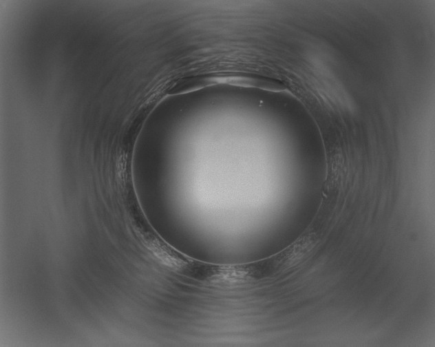 X0000051900278200507011515