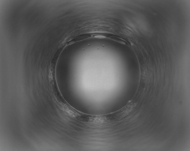 X0000051900282200507011515