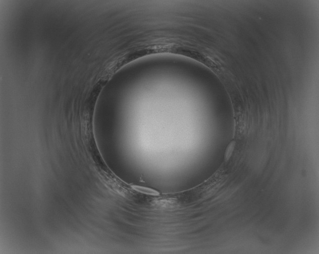 X0000051900283200507011515