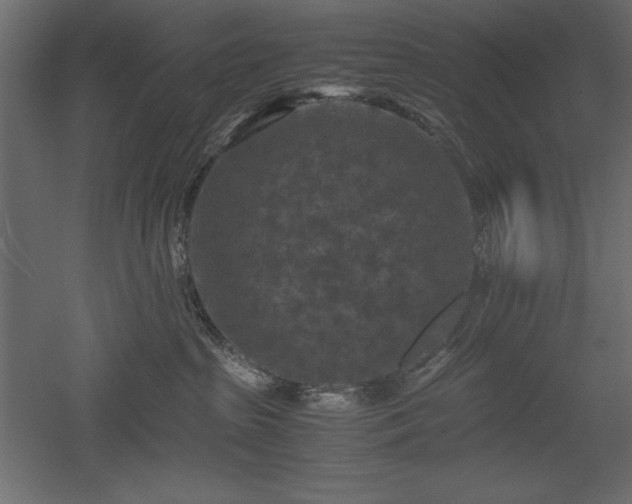 X0000051900285200507011515