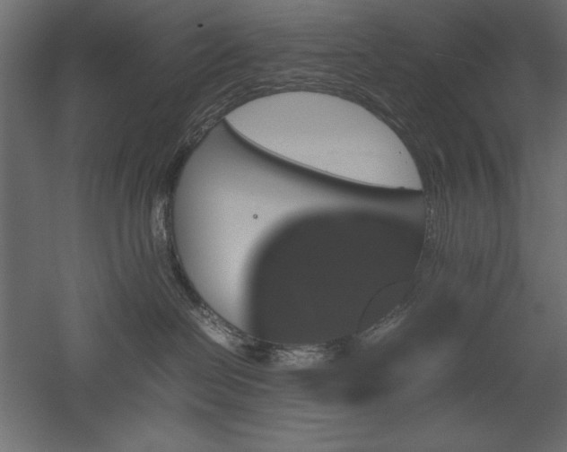 X0000051900286200507011515