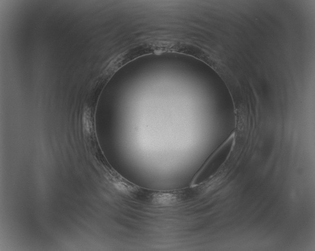 X0000051900287200507011515