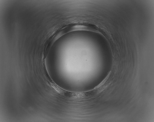 X0000051900288200507011515