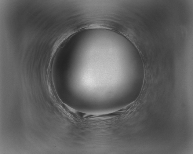 X0000051900289200507011514