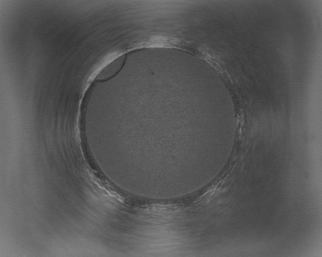 X0000051900292200507011514