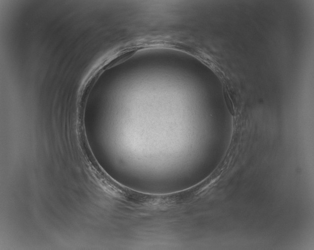 X0000051900293200507011514