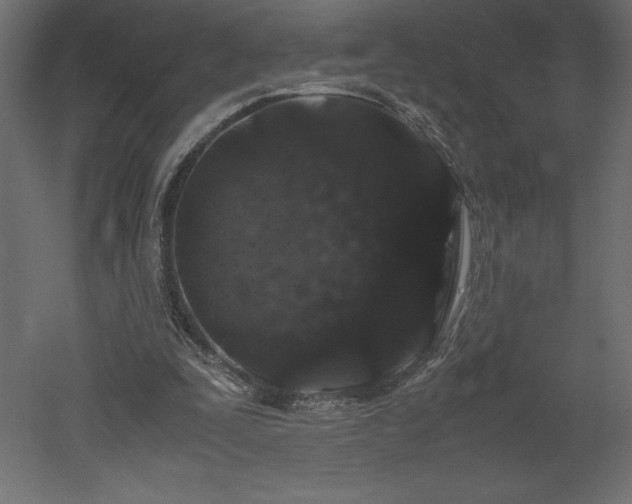 X0000051900295200507011514
