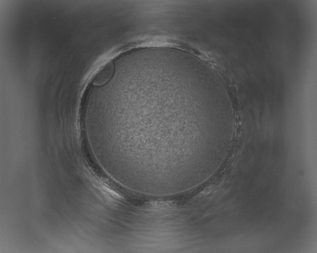 X0000051900296200507011514