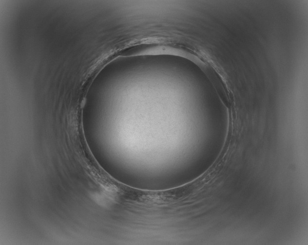 X0000051900297200507011514