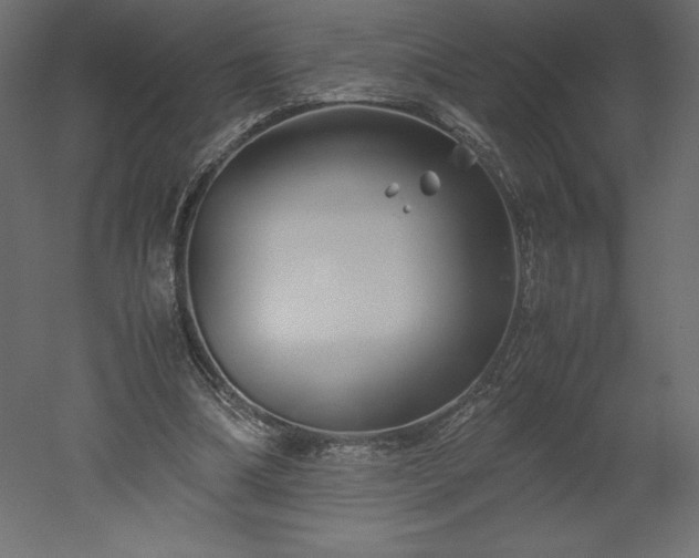 X0000051900298200507011514