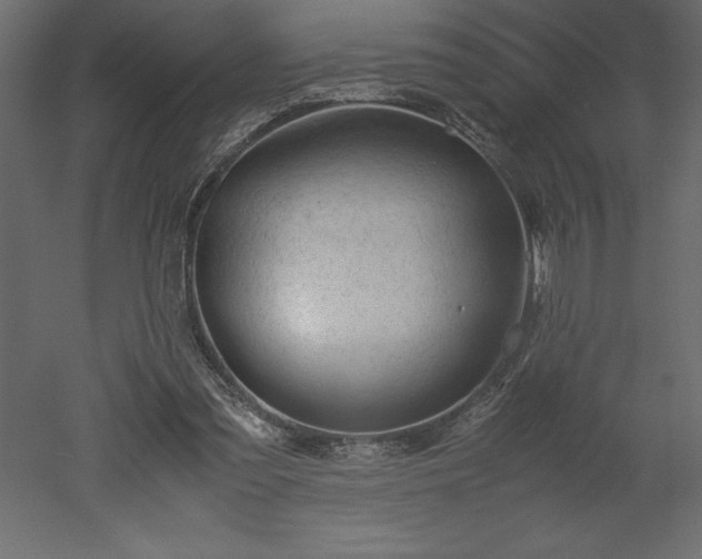 X0000051900301200507011514