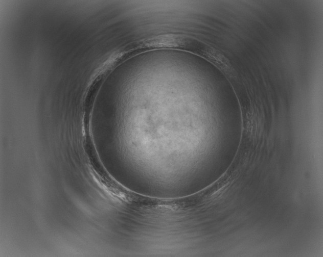 X0000051900302200507011514