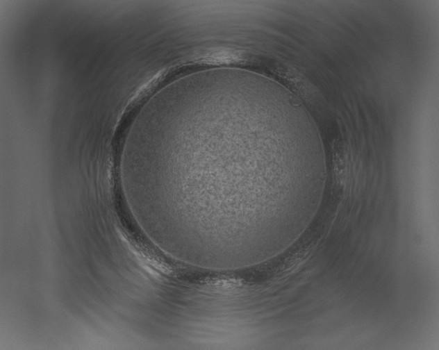 X0000051900304200507011514